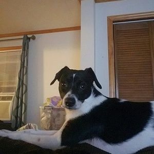 Meet your Posher, Trevor