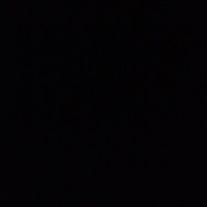 Meet your Posher, Elroy