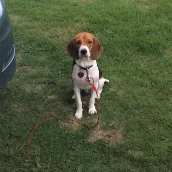 Meet your Posher, Jose - Picture 1 of 1