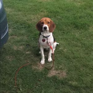 Meet your Posher, Jose