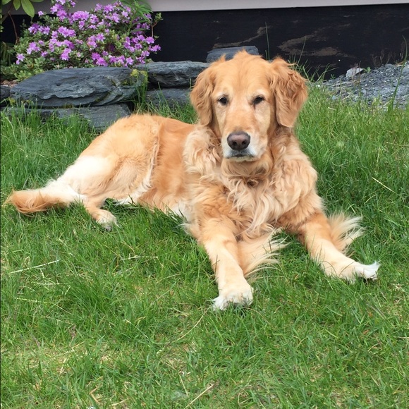 Meet your Posher, Lindsey