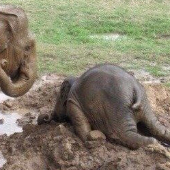 Closed temporarily. Some days are just like this! - Picture 2 of 2
