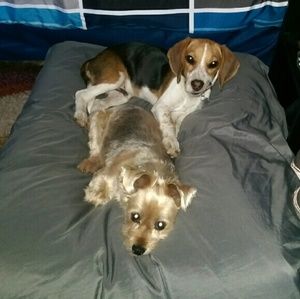 Meet your Posher, Alycia