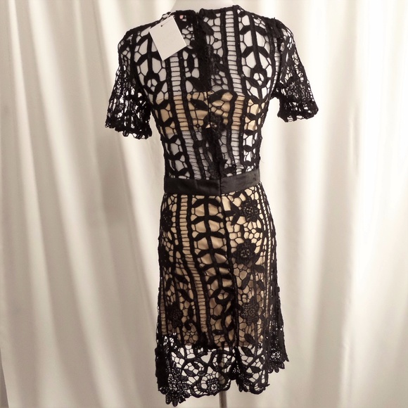 Little Black Dress - Picture 6 of 8