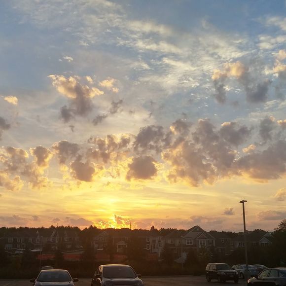 Meet your Posher, Julie - Picture 1 of 1