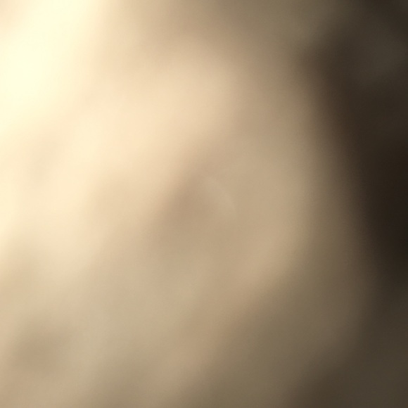 Meet your Posher, Paige - Picture 1 of 1