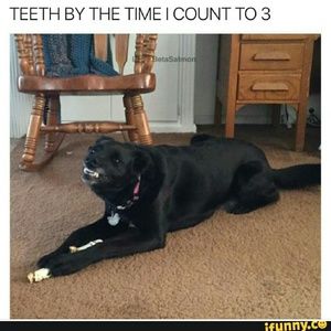 Meet your Posher, Adam