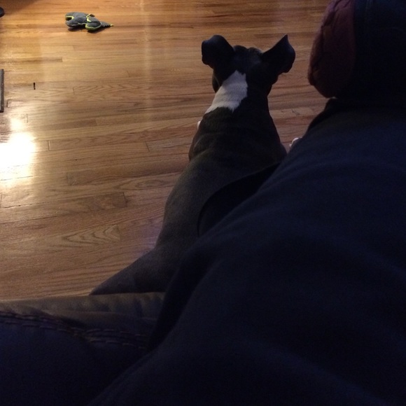 Meet your Posher, Derrick - Picture 1 of 1