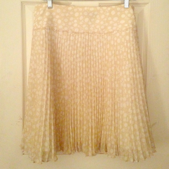 The Limited skirt