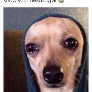 Meet your Posher, Shawn