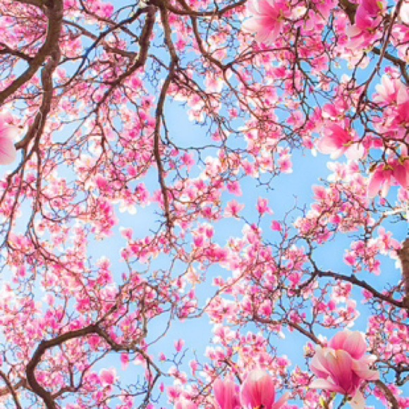 Meet your Posher, Malina - Picture 1 of 1