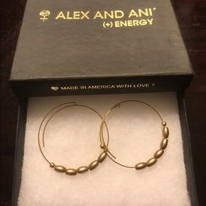 Alex & Ani Jordan small endless hoop earrings
