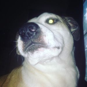 Meet your Posher, Brad