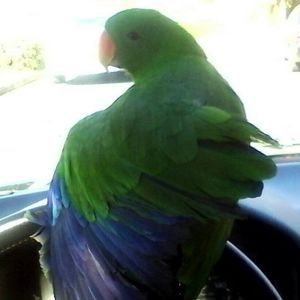 Meet your Posher, Mitzi