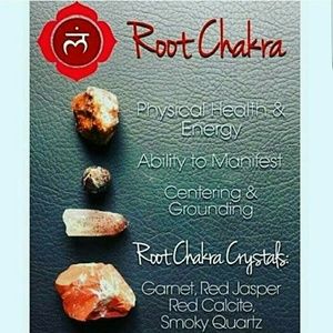 Meet your Posher, Inia