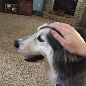 Meet your Posher, Morgan