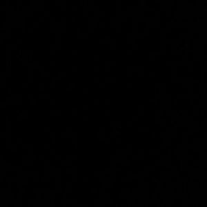 Meet your Posher, Armando