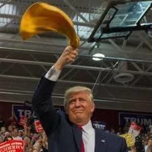 Meet your Posher, Edward