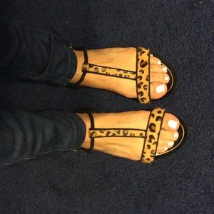 Zara T Strap Leopard Print Sandal