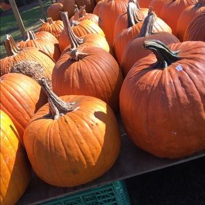 Meet your Posher, Caitlin