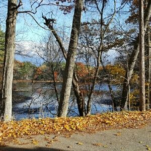 Meet your Posher, Lynn