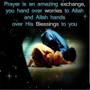 Meet your Posher, Hawa