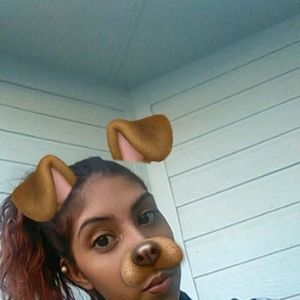 Meet your Posher, Bunny