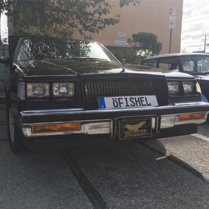 Meet your Posher, Larry