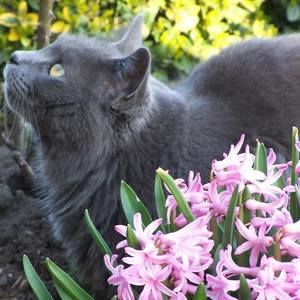 Meet your Posher, Carolyn hudson