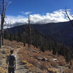 Meet your Posher, Adonis