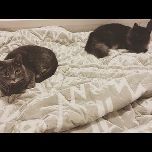 Meet your Posher, Ellie