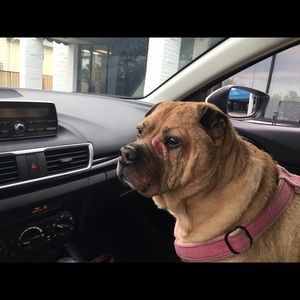 Meet your Posher, Kristina