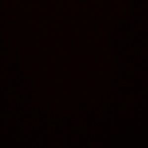 Meet your Posher, Juanito