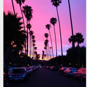 Meet your Posher, Daniela