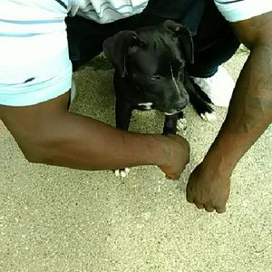 Meet your Posher, Brian