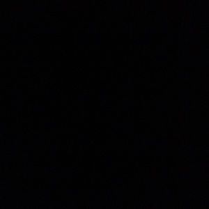 Meet your Posher, Mona