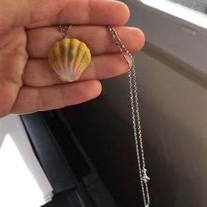 Sunrise Shell Necklace