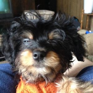 Meet your Posher, Pamela