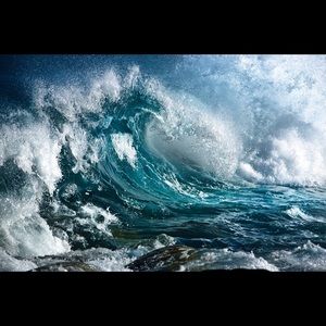 Meet your Posher, Ace