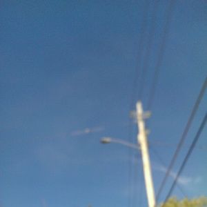 Meet your Posher, Shane