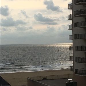 Meet your Posher, Nora