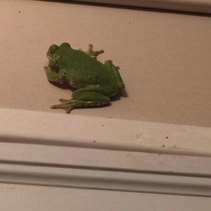 Meet your Posher, Annmarie