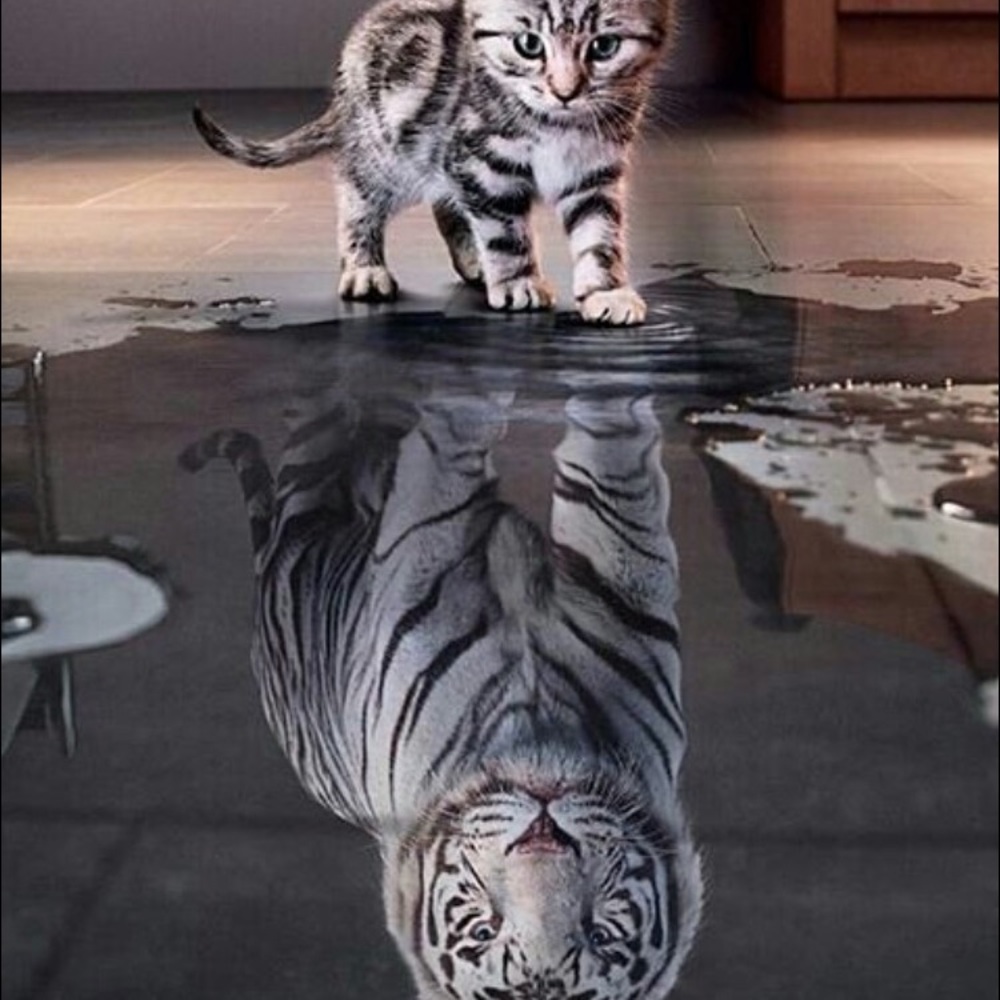 Meet your Posher, Paulina