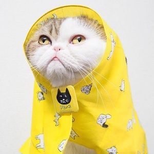 Meet your Posher, Krystal