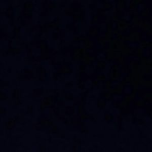 Meet your Posher, Paul