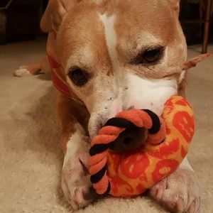 Meet your Posher, Aggie