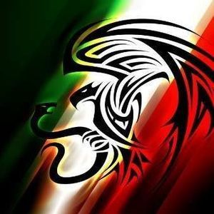 Meet your Posher, Saul