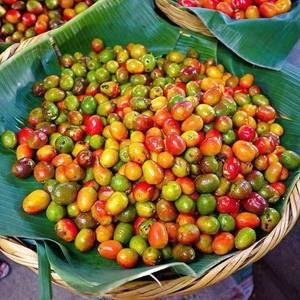 Meet your Posher, Barrio