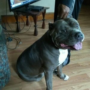 Meet your Posher, Jerome