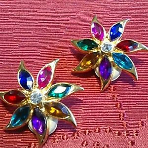 ⭐Vintage Beautiful Gemstone Earrings